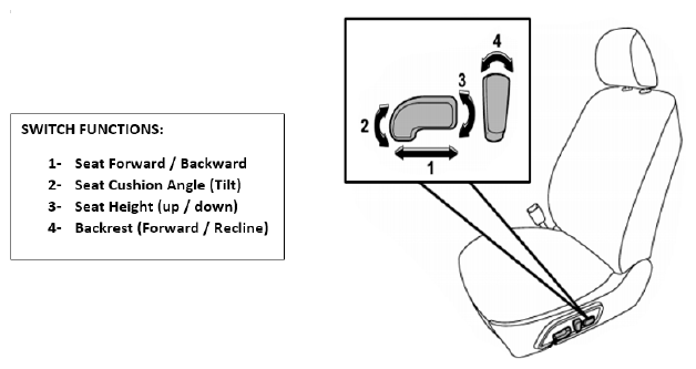 G11646684