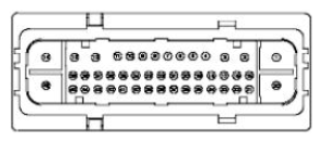 G11680118