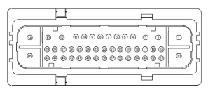G11681598