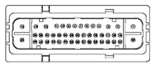G11681772