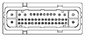 G11681985