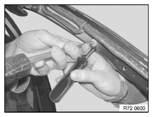 G11774673