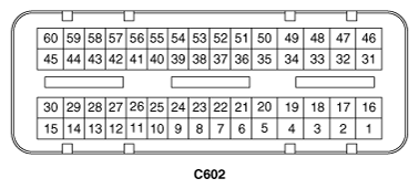 G11784011