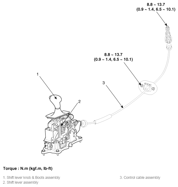 G11784425