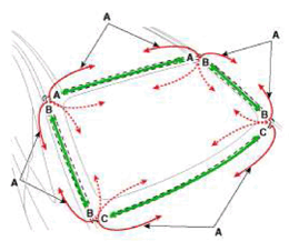 G11791744