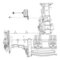 G11792589