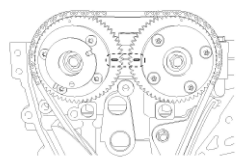 G11793146