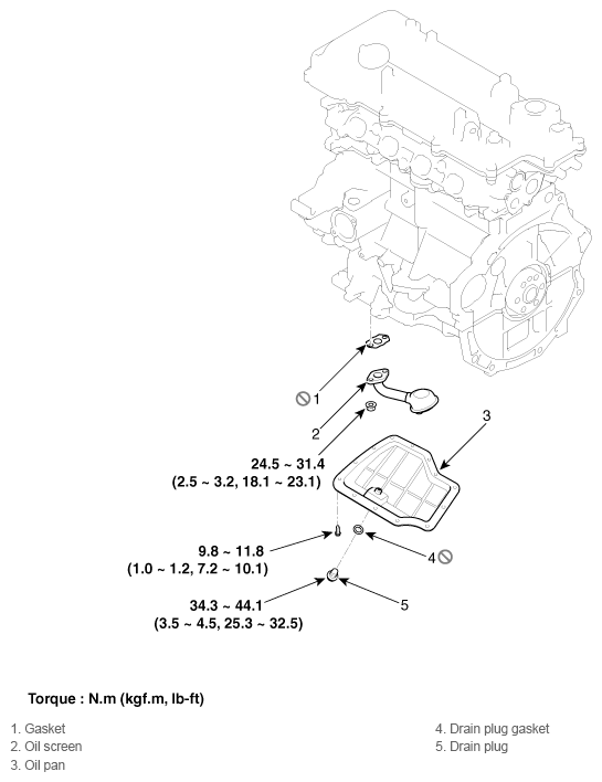 G11794571