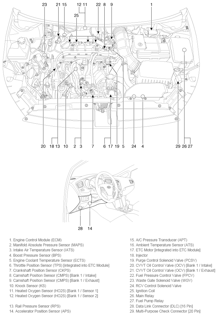 G11794804