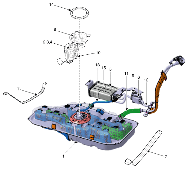 G11794956