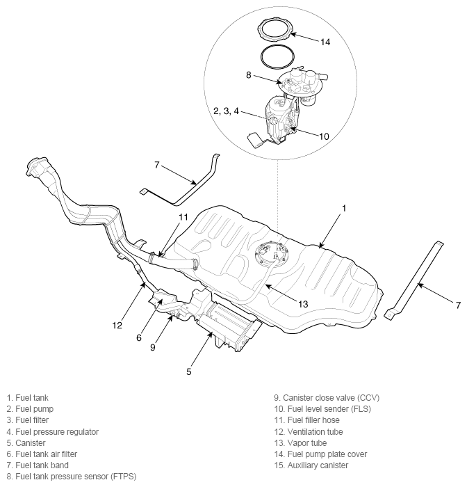G11794957