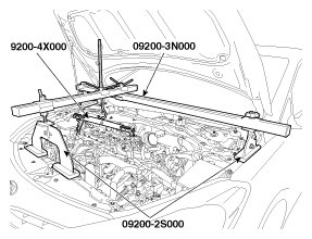 G11795146