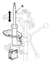 G11795421