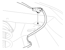 G11795835