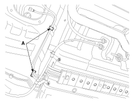 G11797057
