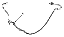 G11797061