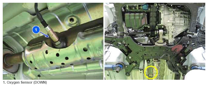 G11798533