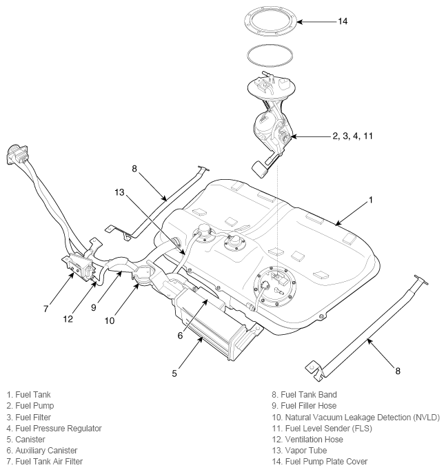 G11815804