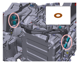 G11816044