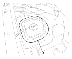 G11845307
