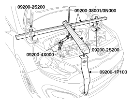 G11845445