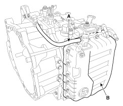 G11845520
