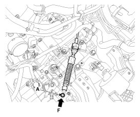 G11845571