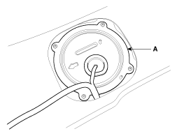 G11865607