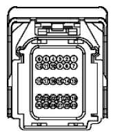 G11915509