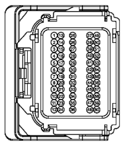 G11915510