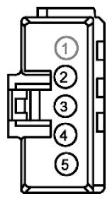 G11915591