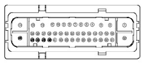 G11915957