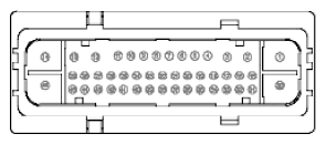 G11915961