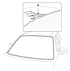 G11934484