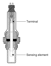 G11955528