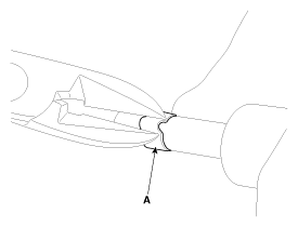 G11955562