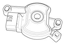G11955916