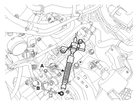 G11955942