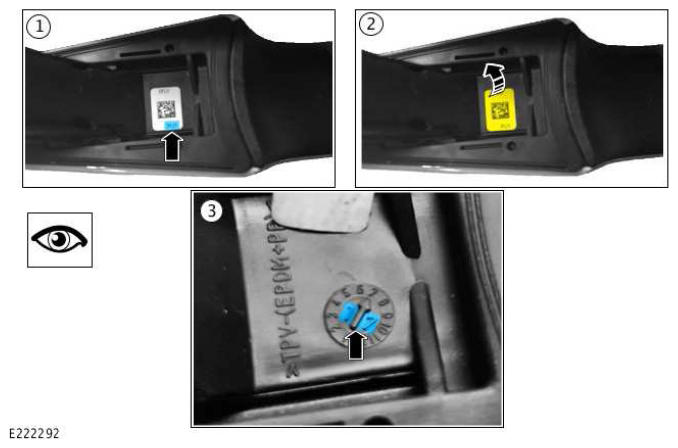 G11965159