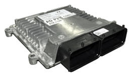 G12025197