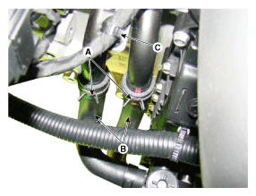 G12034180