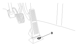 G12088528