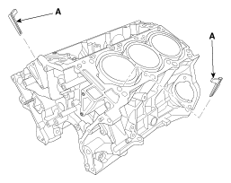 G12089120