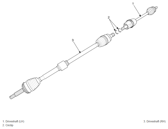 G12163661