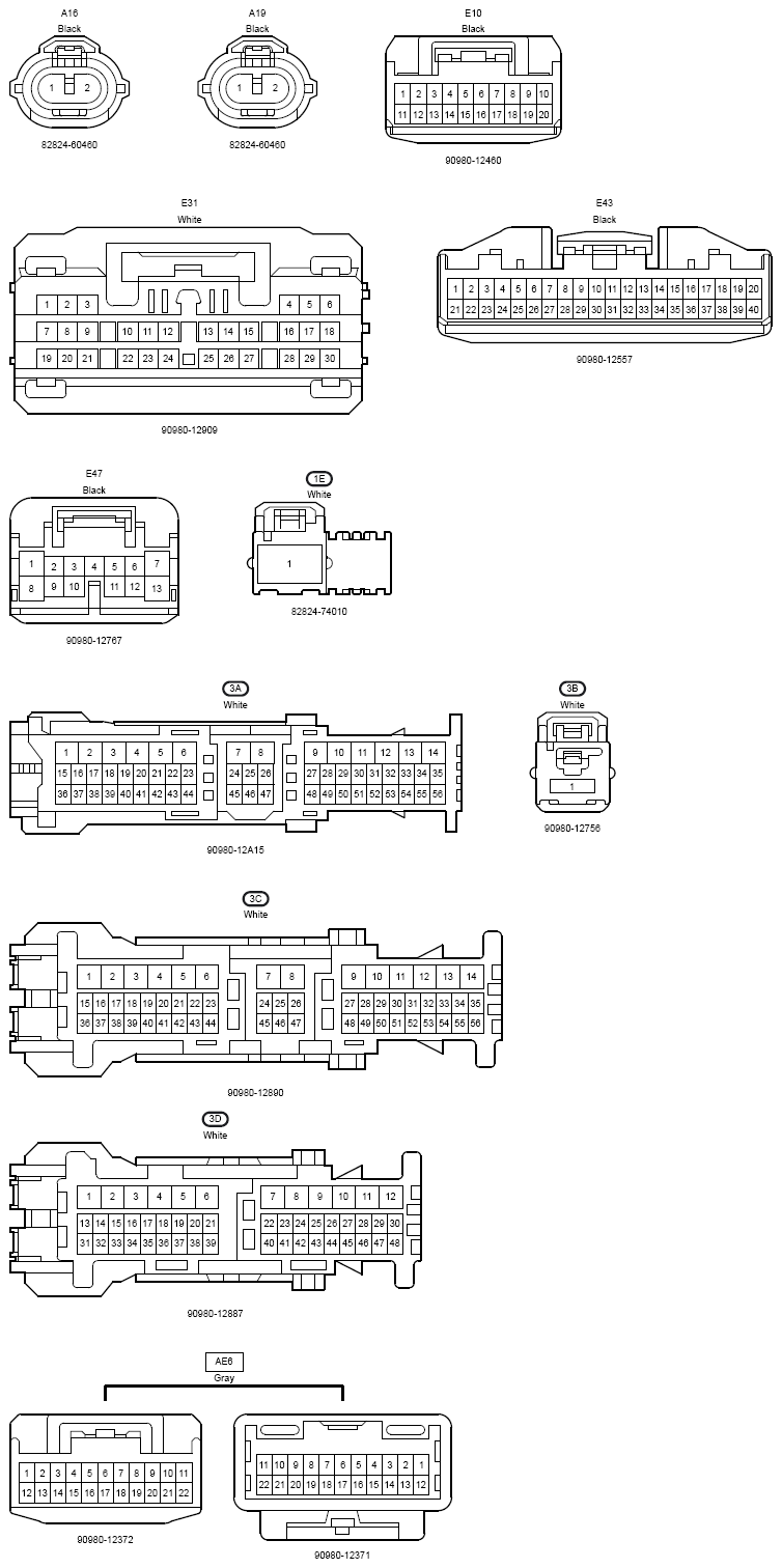 G12199558
