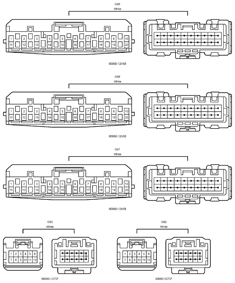 G12204231