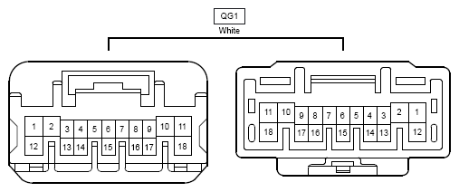G12211294