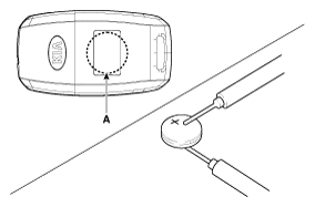 G12235569