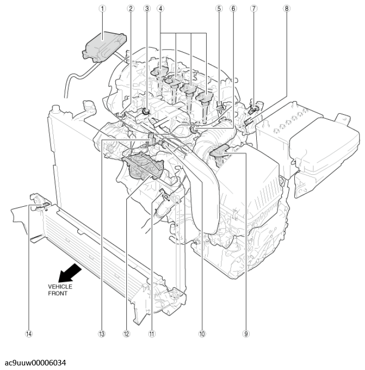 G12245207