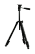 G12273486